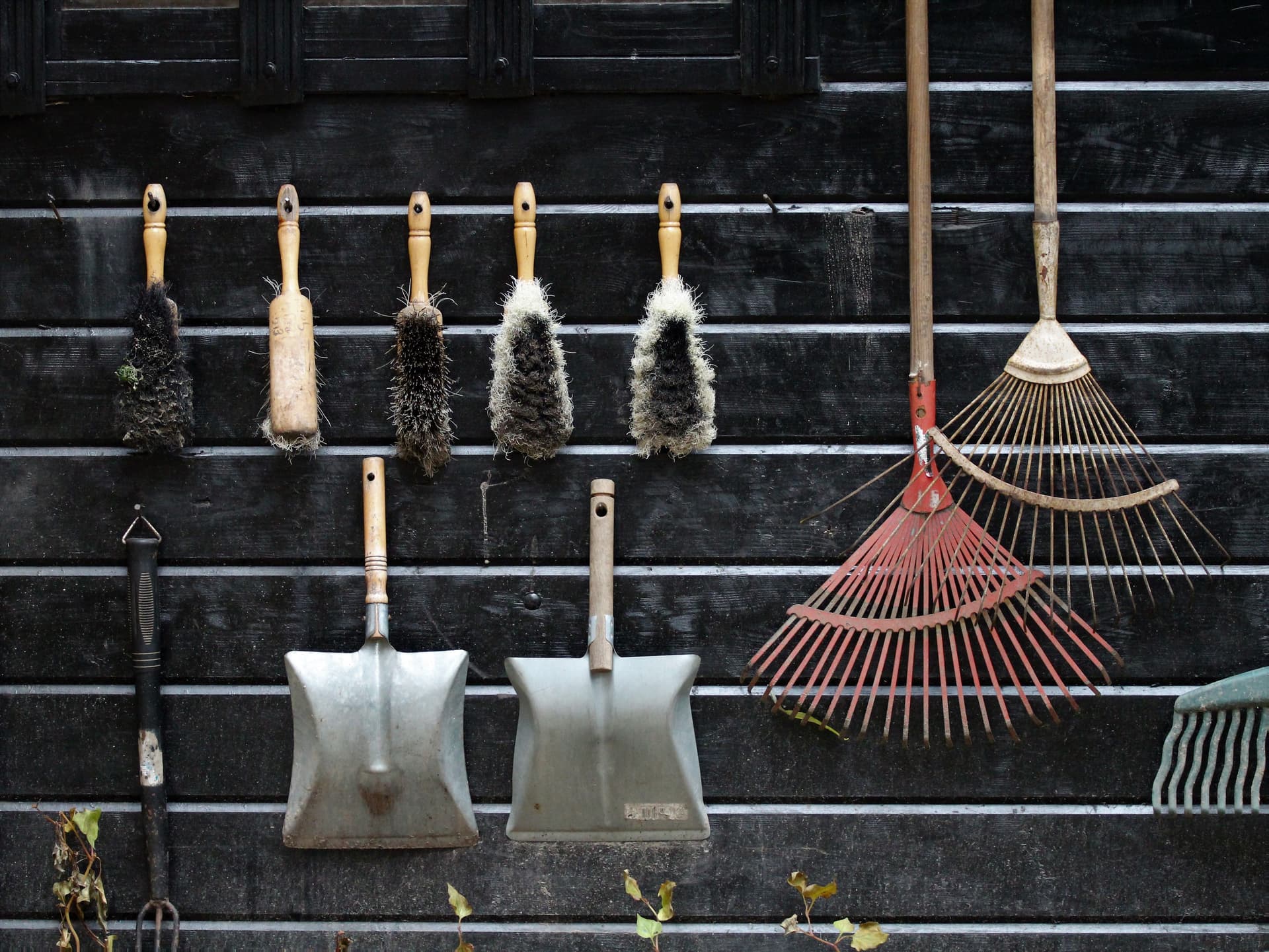 Garden hand tools, brushes and rakes hanging in a row on a dark wooden wall